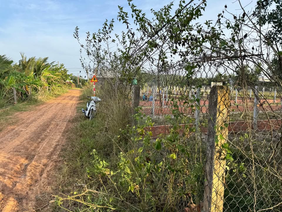 Đất thổ cư Long Phú, Bến Cầu Tây Ninh 145m² giá chỉ 225 triệu - Đầu tư sinh lời hấp dẫn!