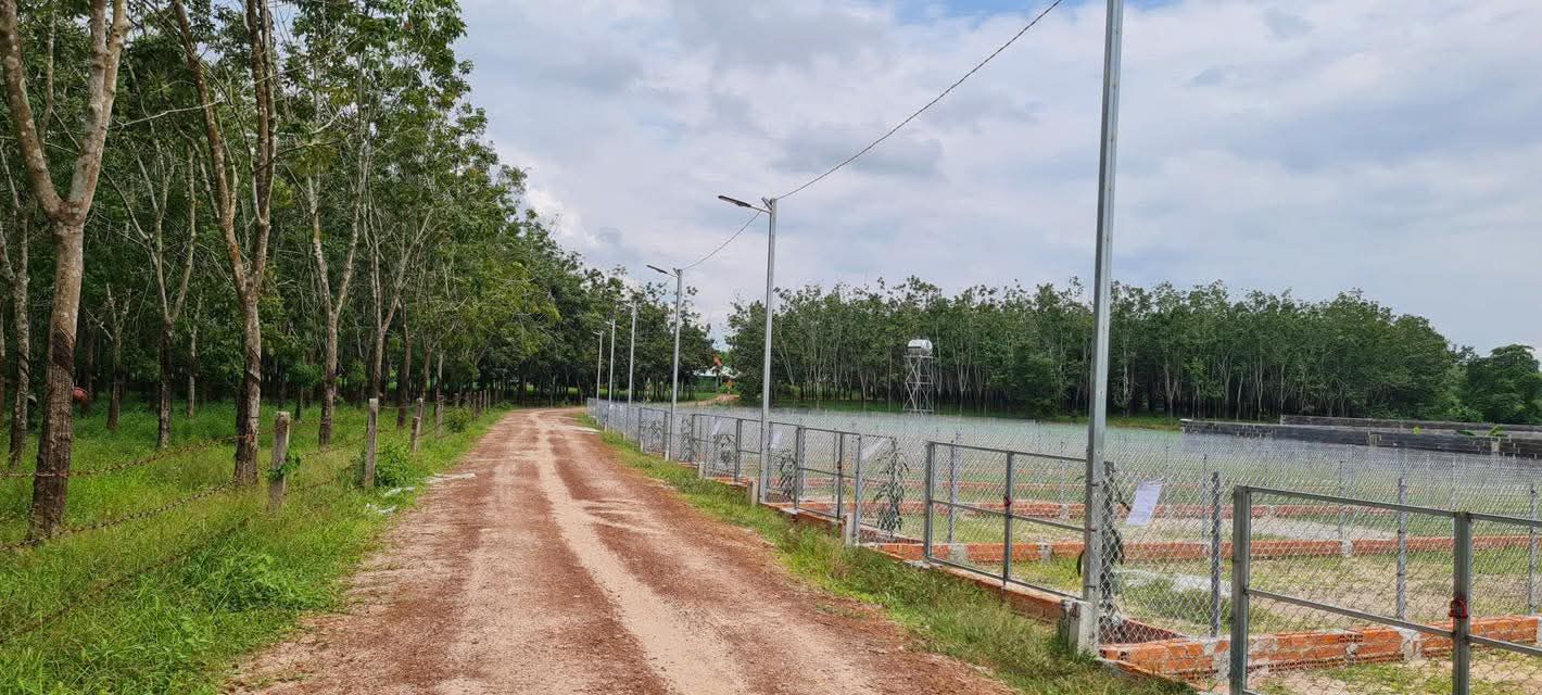 Đất nền Hảo Đước, Châu Thành, Tây Ninh 140m² giá 189 triệu - Sổ hồng chính chủ