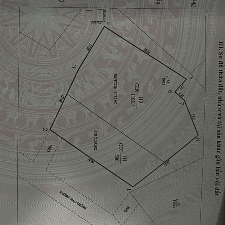 Biệt thự Tuần Châu Hạ Long 1500m² giá 2x tỷ - View đẹp, sẵn sàng đầu tư!