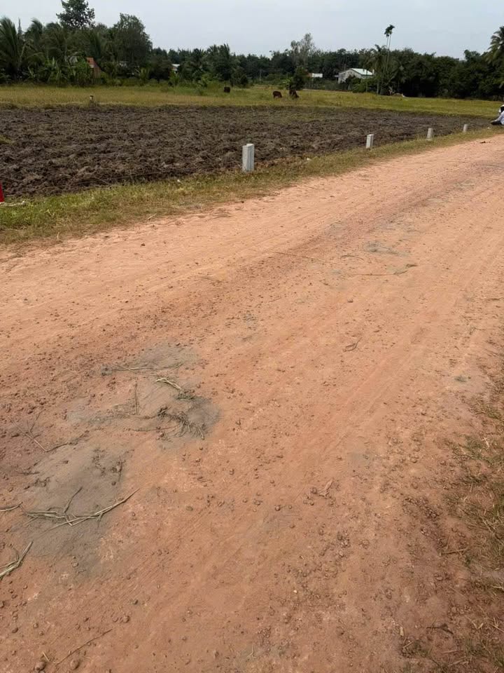 Đất nền An Cơ Châu Thành 105m² giá chỉ 1xx - Sổ đỏ chính chủ, đầu tư sinh lời!