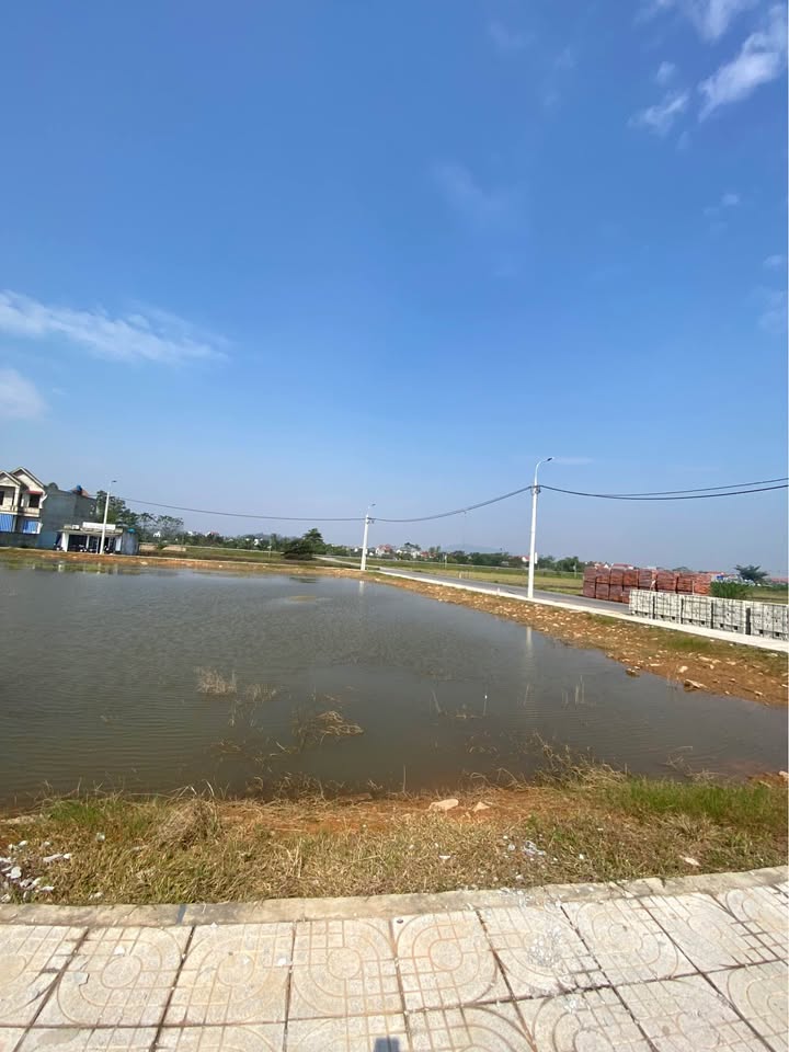 Đất nền mặt đường QL10 xã Thuần Lộc, huyện Hậu Lộc, 132m² - Cơ hội đầu tư hấp dẫn!