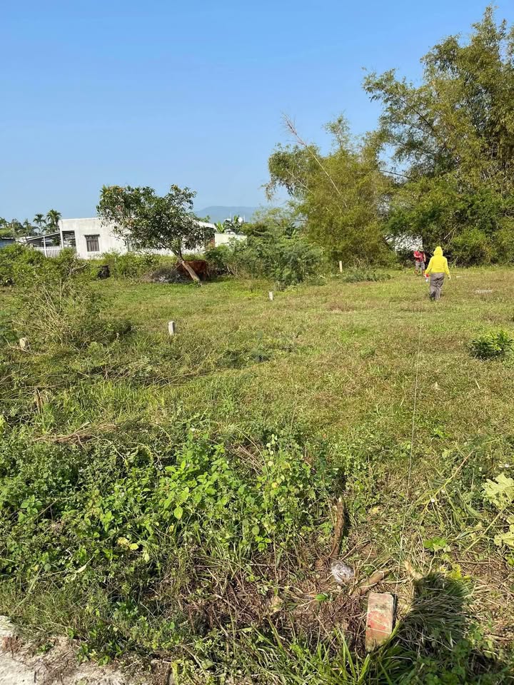 Đất nền 450m² xã Đại Phong, giá chỉ 380 triệu - Cơ hội đầu tư tuyệt vời!