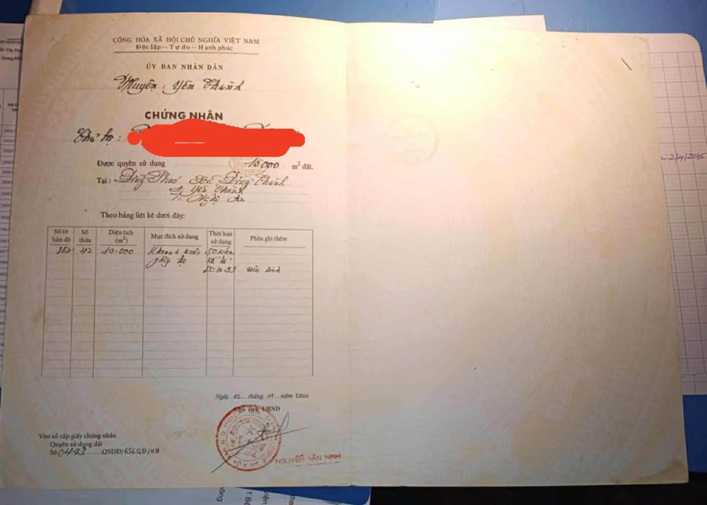 Đất rừng 10.000m² tại Đồng Thành, Yên Thành - Giá tốt, cây trồng gần thu hoạch!