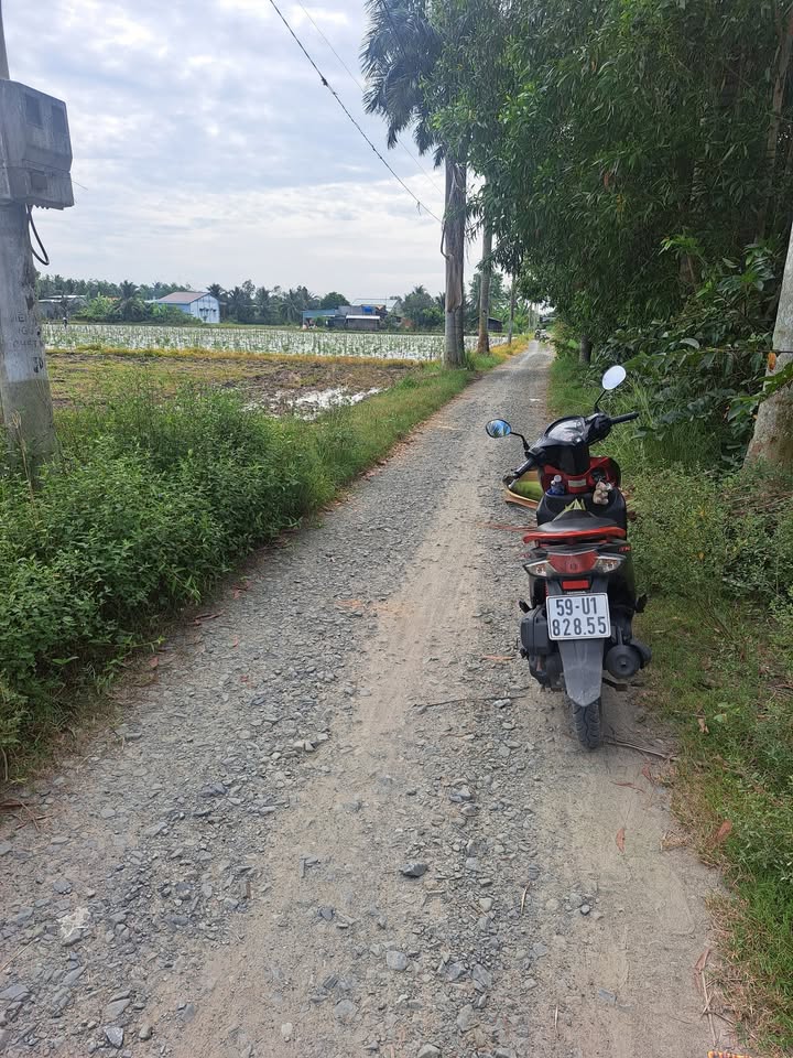 Đất thổ cư 210m² tại xã Bình Hòa Bắc, Đức Huệ - Giá chỉ 550 triệu!