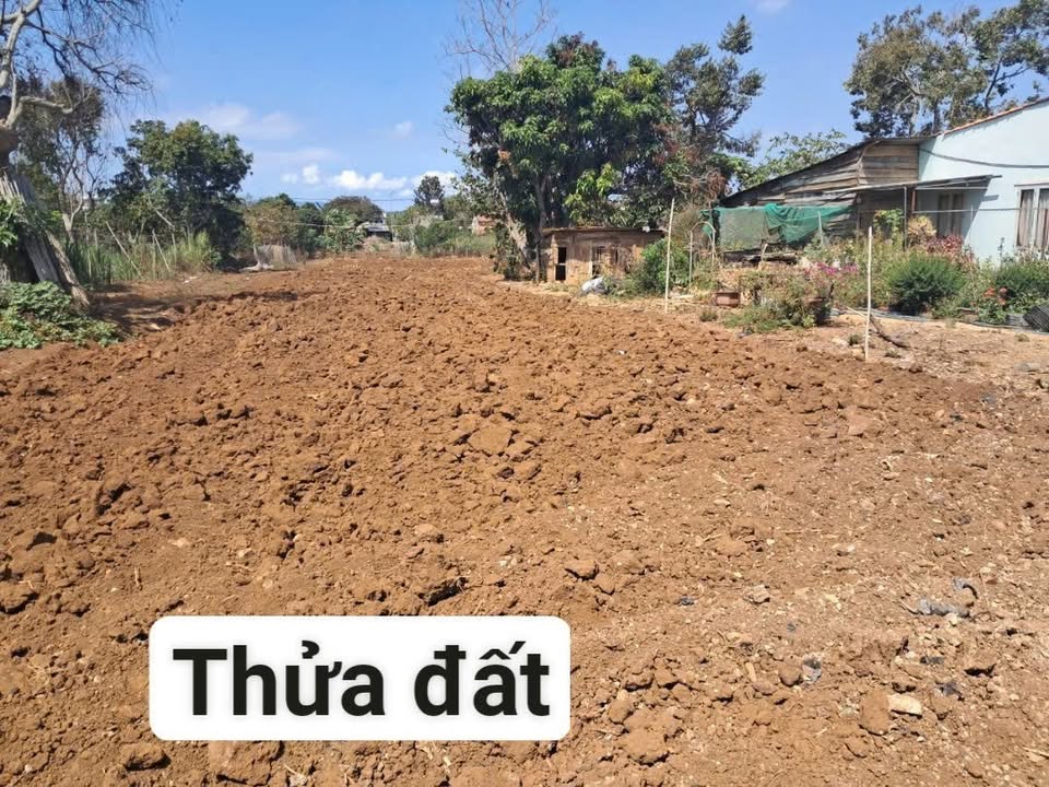 Đất nền Tân Hội Đức Trọng 1000m² giá 2 tỷ - Mặt tiền rộng thuận lợi!