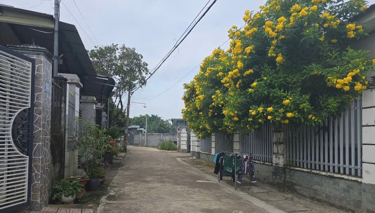 Đất nền Tân Đồng Đồng Xoài 150m² giá 750 triệu - Sổ hồng chính chủ!