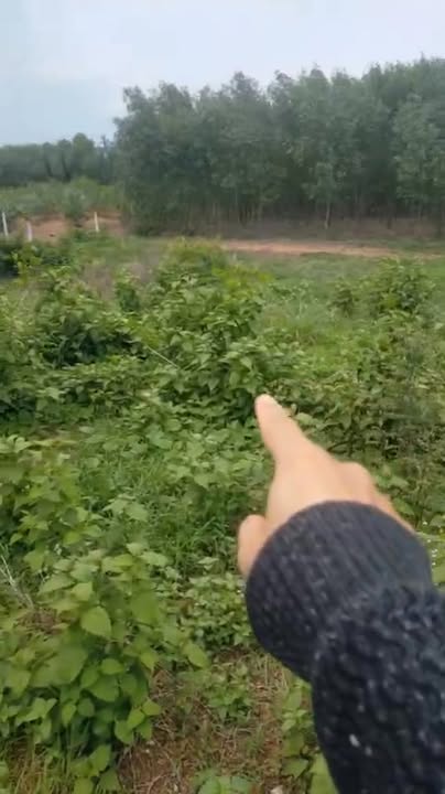 Đất nền 500m² khu Vĩnh An 4 xã Trị An, giá chỉ 250 triệu - Cơ hội đầu tư tuyệt vời!