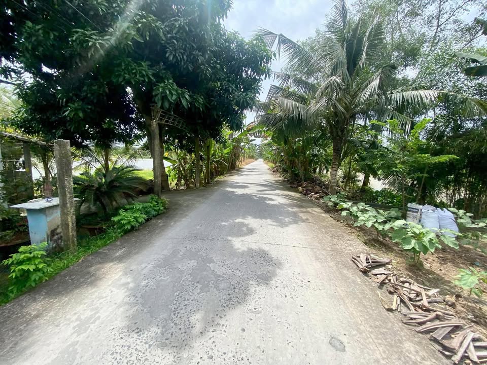 Đất Lúa 9,535m² Phường Ô Môn, Cần Thơ Giá 5 Tỷ - Đầu Tư Lâu Dài