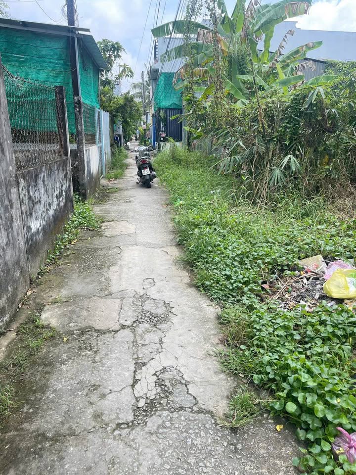 Đất nền 108m² tại ấp Bà Điều, xã Lý Văn Lâm - Giá chỉ 300 triệu, cơ hội đầu tư sinh lời!