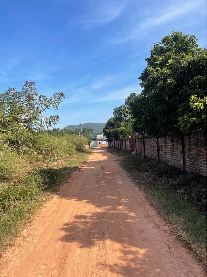 Đất khai hoang 6000m² tại An Lĩnh, Chí Linh - Địa thế đẹp, dân cư đông đúc!