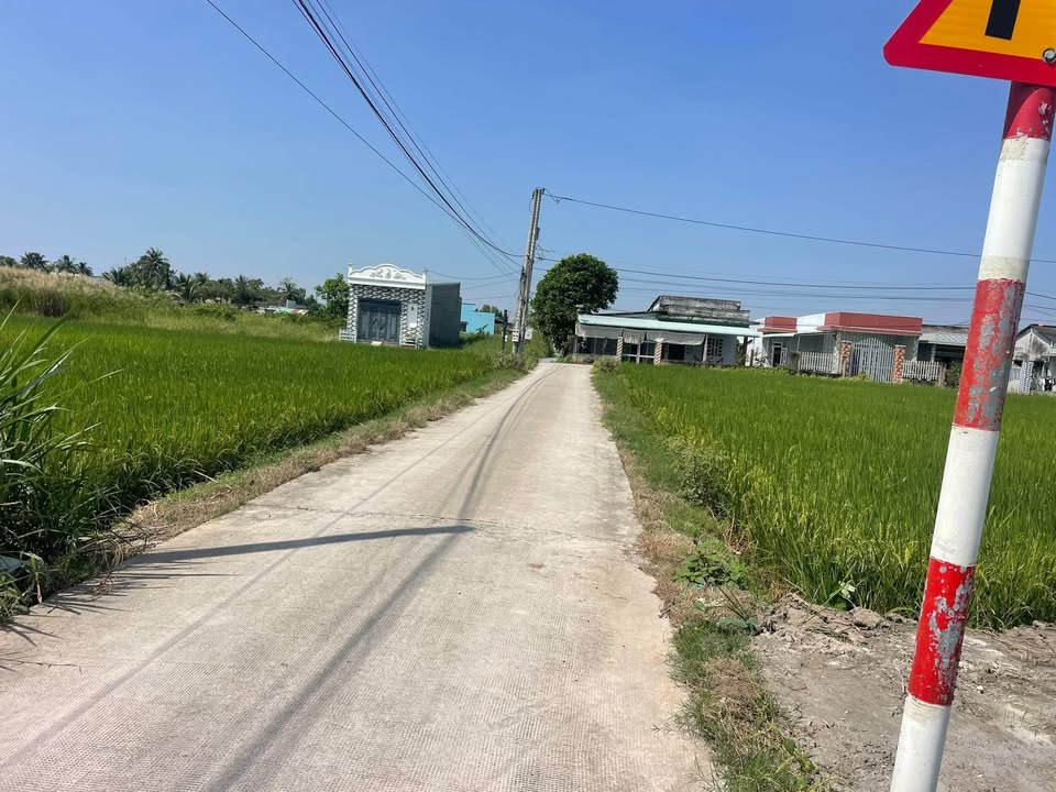 6 Lô Đất Thổ Cư Mặt Tiền ấp 7 Nhựt Chánh - Giá 600 Triệu/ Lô Thương Lượng Đặc Biệt