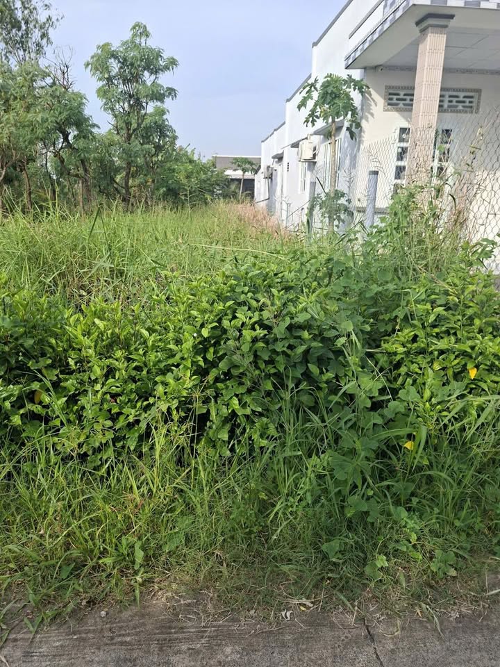 Đất nền Ấp 5 Tân Tây, Gò Công Đông 125m² giá 300 triệu - Cơ hội đầu tư tuyệt vời!