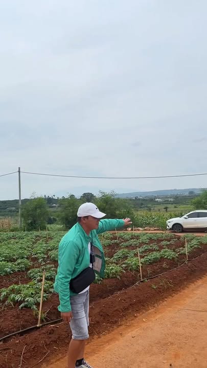 Đất nền Tân Hội, Đức Trọng, 260m² - Giá thỏa thuận hấp dẫn!