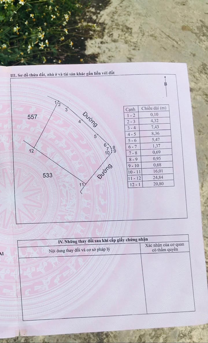 Đất 2 mặt tiền Kim Long - Tam Dương 518m² chỉ 2 tỷ - Cơ hội đầu tư hiếm có!