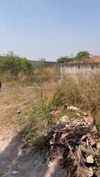 Đất nền Tân Hiệp, Phú Giáo 120m² giá 5.3 tỷ - Đất nở hậu cực đẹp!