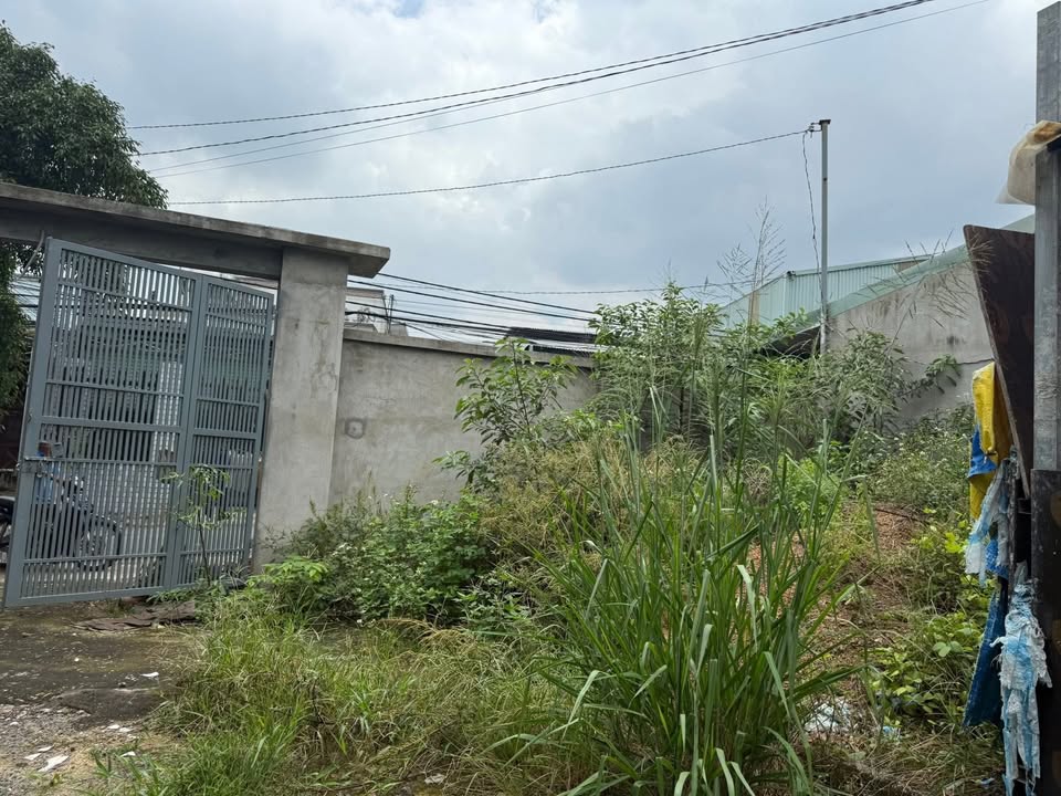 Cho thuê mặt bằng 1.000m² tại Long Bình, Biên Hòa - Tiện nghi và rộng rãi!