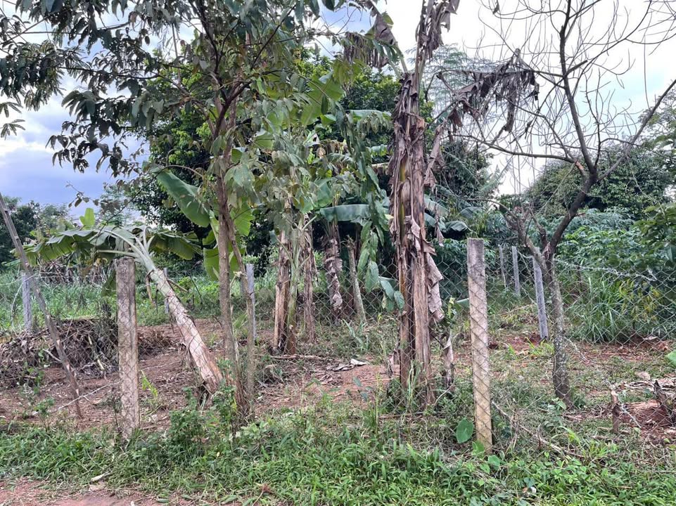 Đất nền Hòa Khánh, Buôn Ma Thuột 130m² giá chỉ 500 triệu - Cơ hội đầu tư tuyệt vời!