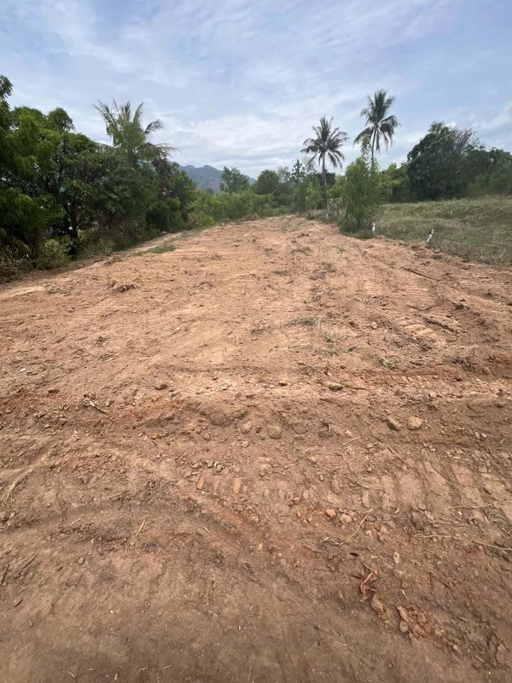 Đất nền khu phố HD6B Bắc Cam Ranh 1000m² giá chỉ 1 tỷ - Đầu tư sinh lời tốt!