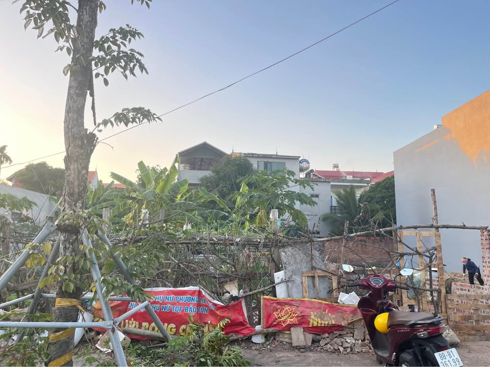 Đất đấu giá Bảo Sơn, Liên Bảo, Vĩnh Yên 125m² giá chỉ 4,5 tỷ - Đầu tư sinh lời ngay!