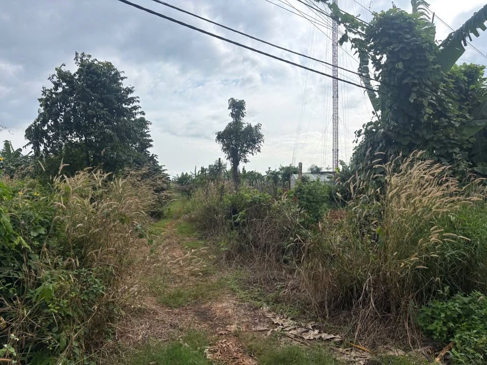 Đất nền 800m² mặt tiền đường Nguyễn Thị Định, phường Thành Nhất - Giá chỉ 1.799 tỷ!