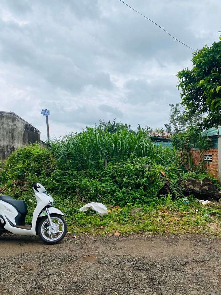 Đất nền Tân Hoà Buôn Ma Thuột 170m² giá 2.3 tỷ - Đầu tư sinh lời ngay!