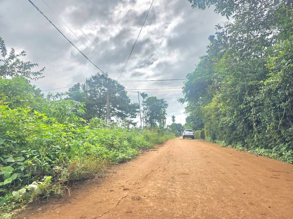 Đất nền đầu tư tại Tân An, Buôn Ma Thuột 117m² giá chỉ 480 triệu - Cơ hội sinh lời tuyệt vời!