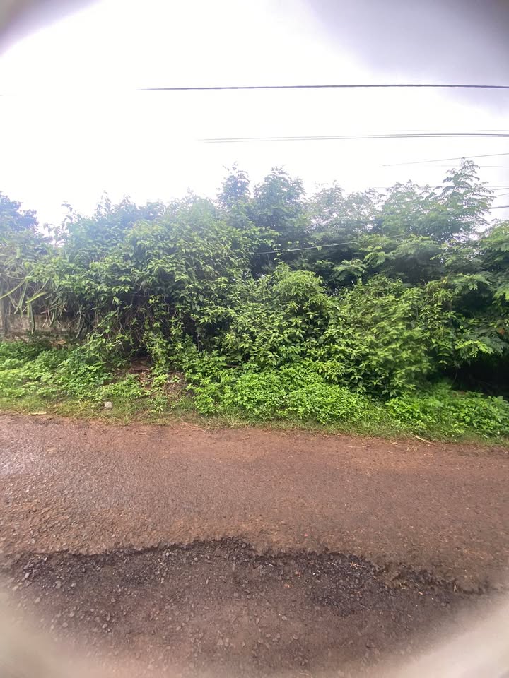 Đất nền Hẻm 171 Nguyễn Thái Bình, Tân Lập 250m² giá 2 tỷ - Cơ hội đầu tư tuyệt vời!