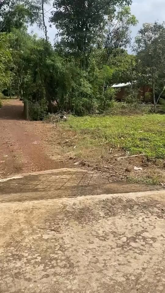 Đất thổ cư Lộc Thái 100m² giá 330 triệu - Đầu tư sinh lời ngay!