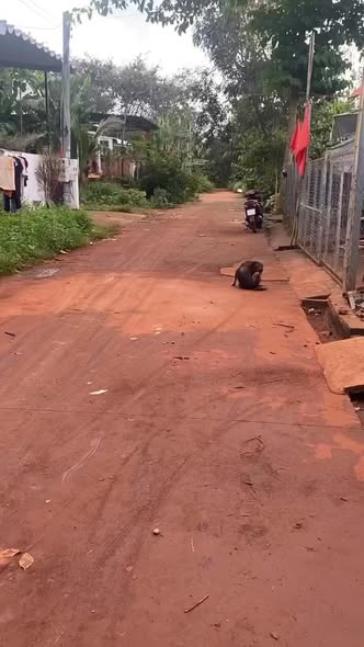 Đất nền Lộc Tấn 200m² giá 450 triệu - Đầu tư sinh lời ngay!