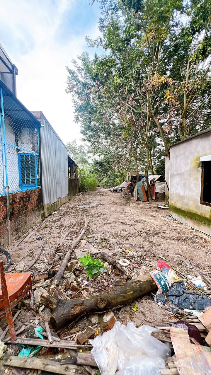 Đất thổ cư 150m² tại thôn Quang Châu, Hòa Vang - Chỉ 1.45 tỷ!