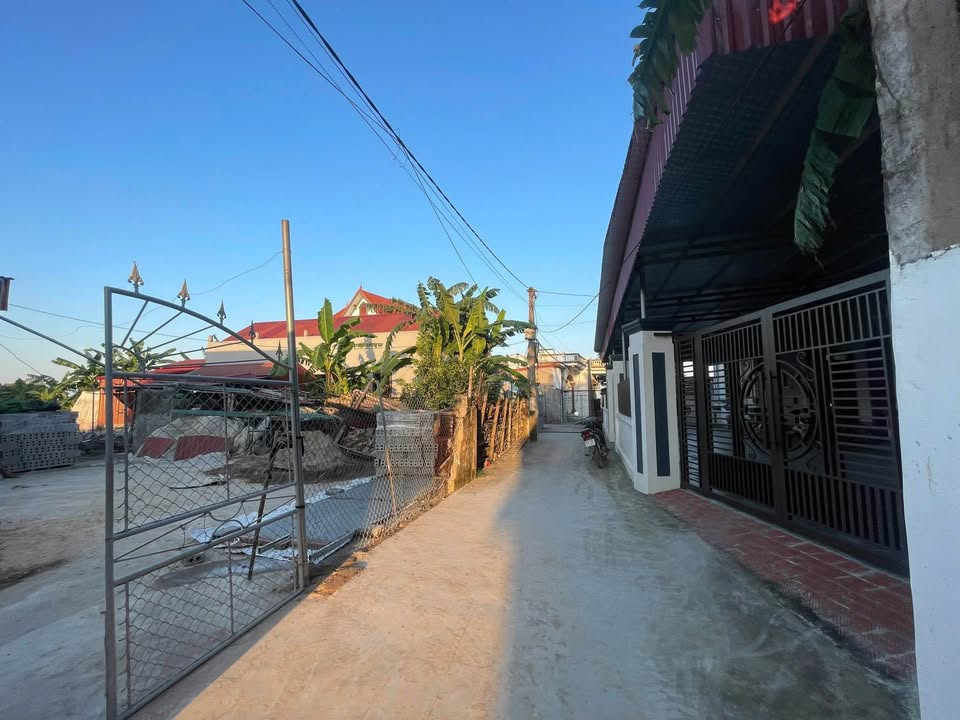 Đất thổ cư xã Tân Trào Thanh Miện 100m² giá 900 triệu - Sổ hồng chính chủ!