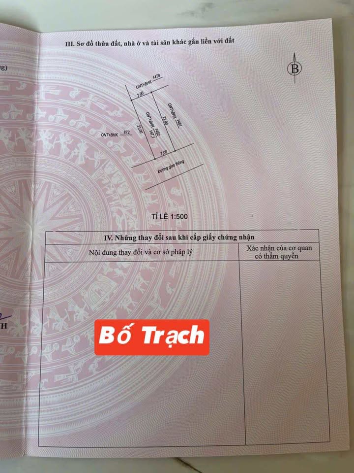 Đất nền Đại Trạch, Bố Trạch, Quảng Bình 147m² giá chỉ 400 triệu - Cơ hội đầu tư hấp dẫn!