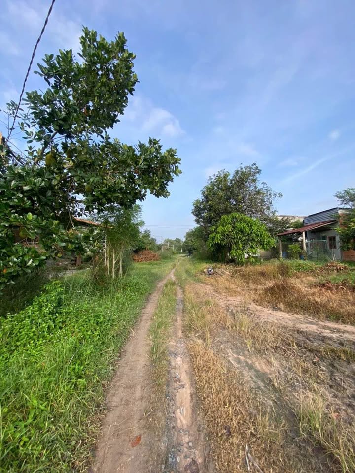 Đất nền Hòa Thành Tây Ninh 30,000m² giá thỏa thuận - Mặt tiền đường 10m