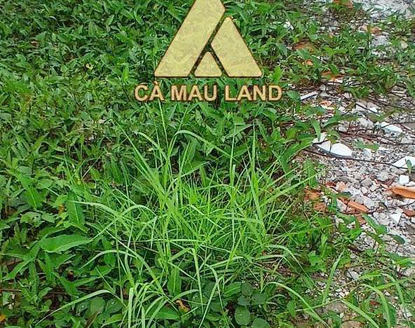 Đất nền KĐT Happy Home Cà Mau 100m² giá 1 tỷ - Đầu tư sinh lời ngay!