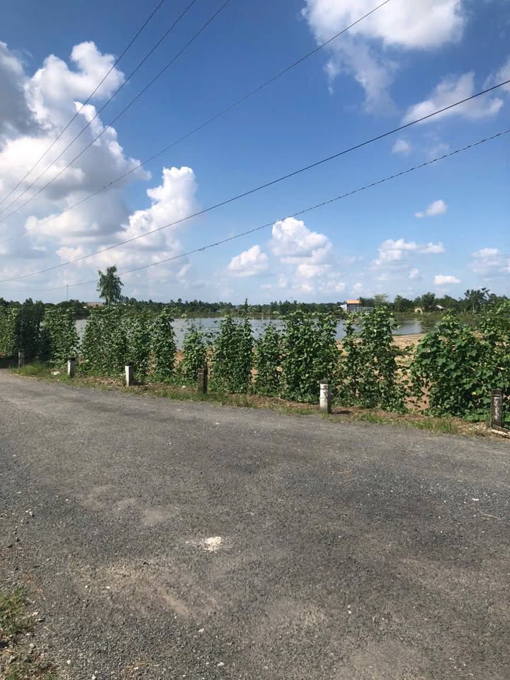 Đất vườn 5 công Mỹ Thới, Long Xuyên - Giá 1.25 tỷ, thuận tiện đầu tư!