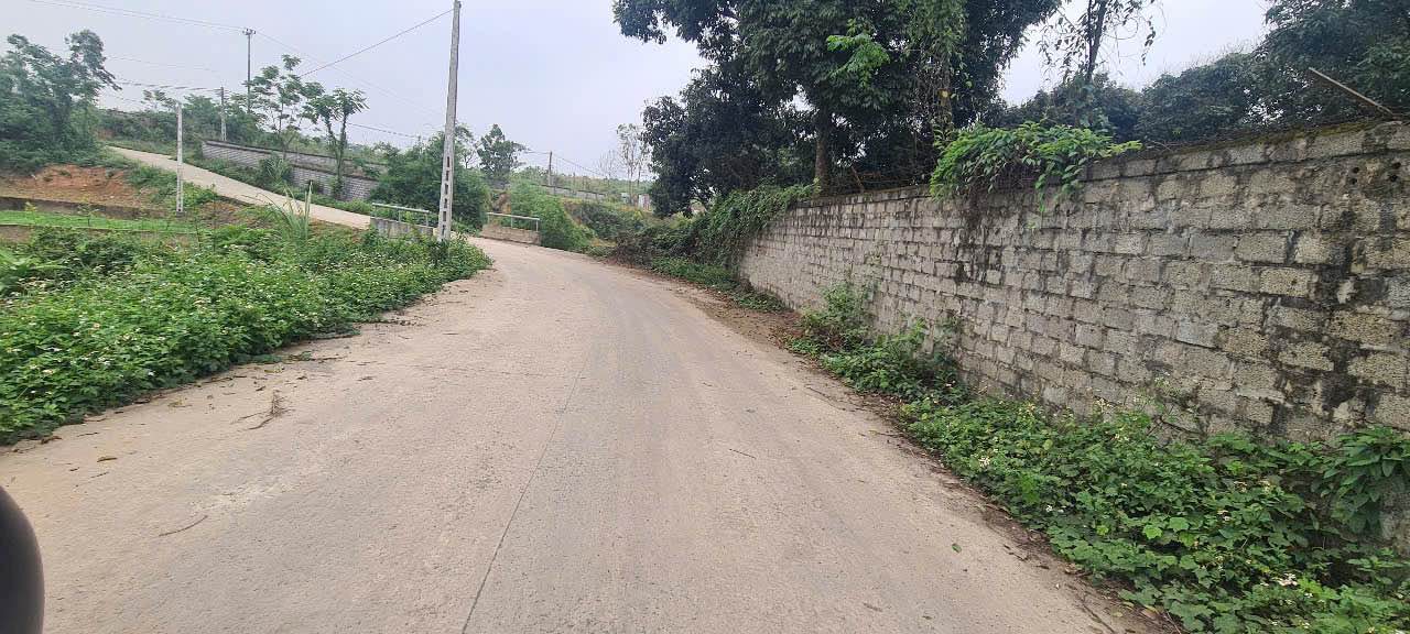 Đất nền Nhuận Trạch Lương Sơn 5000m² - Đầu tư sinh lời ngay vị trí đắc địa!