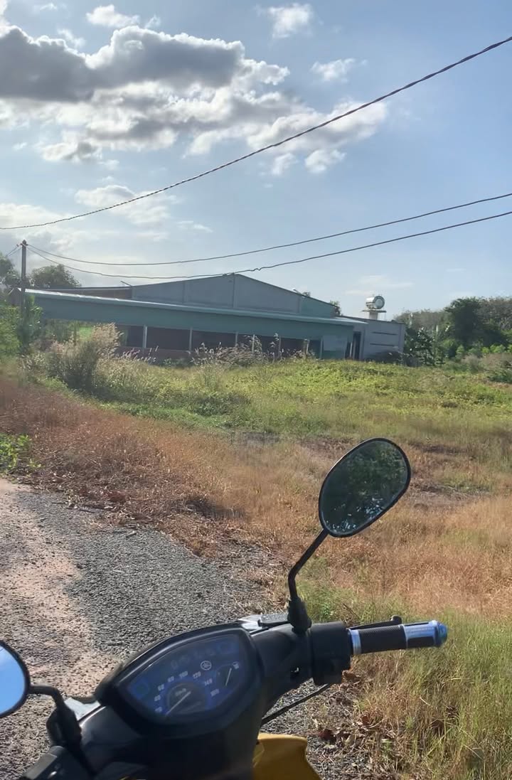 Đất nền Tân Phong 1000m² giá 599 triệu - Vị trí đắc địa, sổ đỏ đầy đủ!