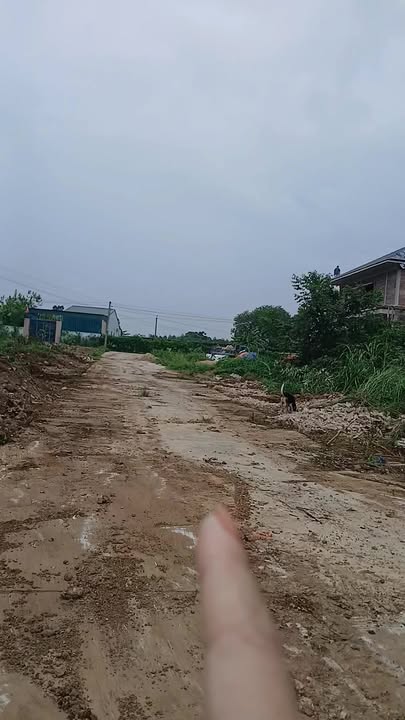 Đất nền Tây Hiếu Thái Hòa 800m² - Giá thỏa thuận, vị trí đắc địa!