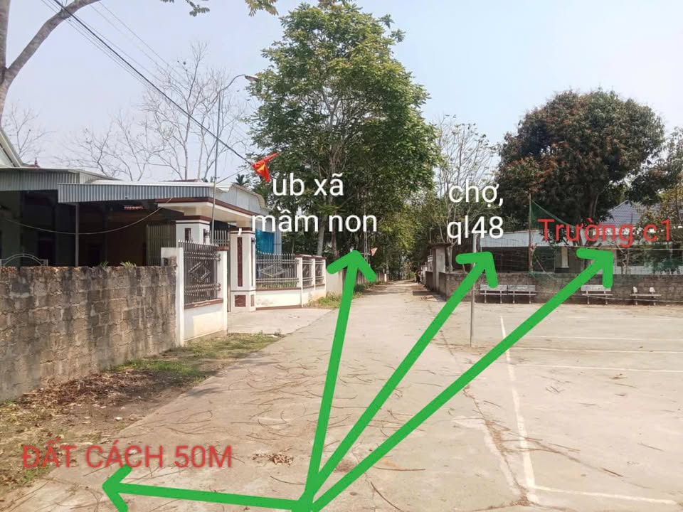 Đất thổ cư Quỳ Hợp 564m² - Sổ đỏ chính chủ, giá rẻ cho người thiện chí!