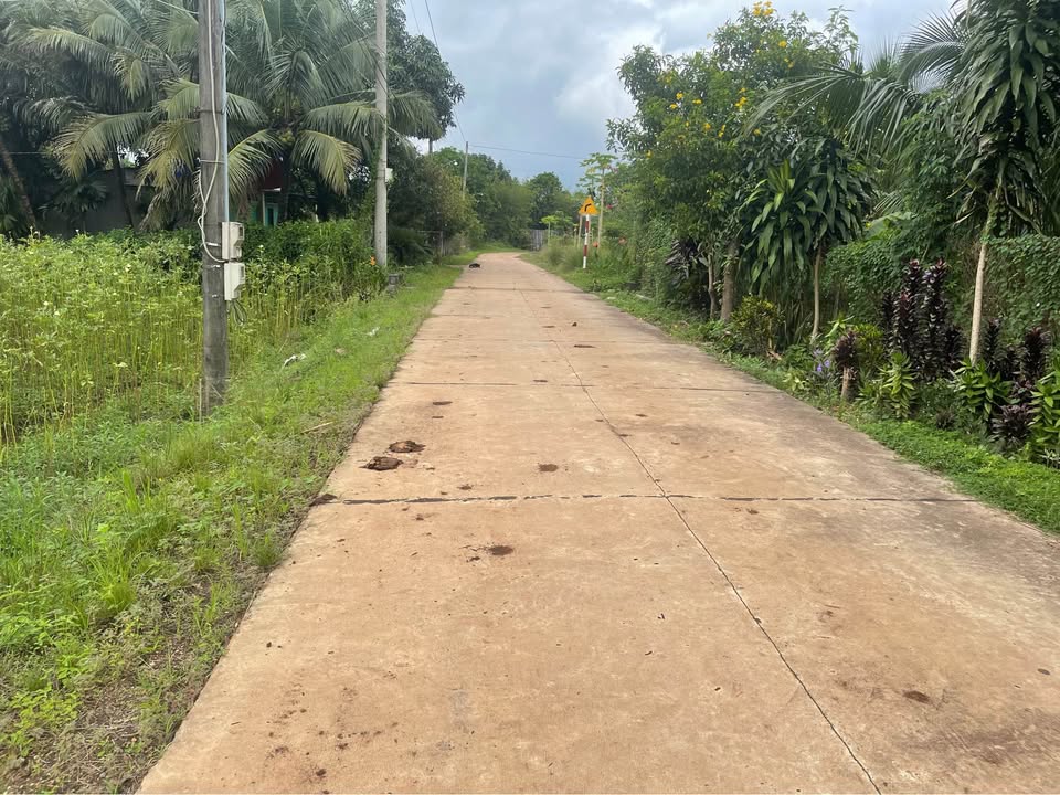 Đất vườn thổ cư 1400m² tại Cây Da, Long Khánh - Giá chỉ 1.55 tỷ!