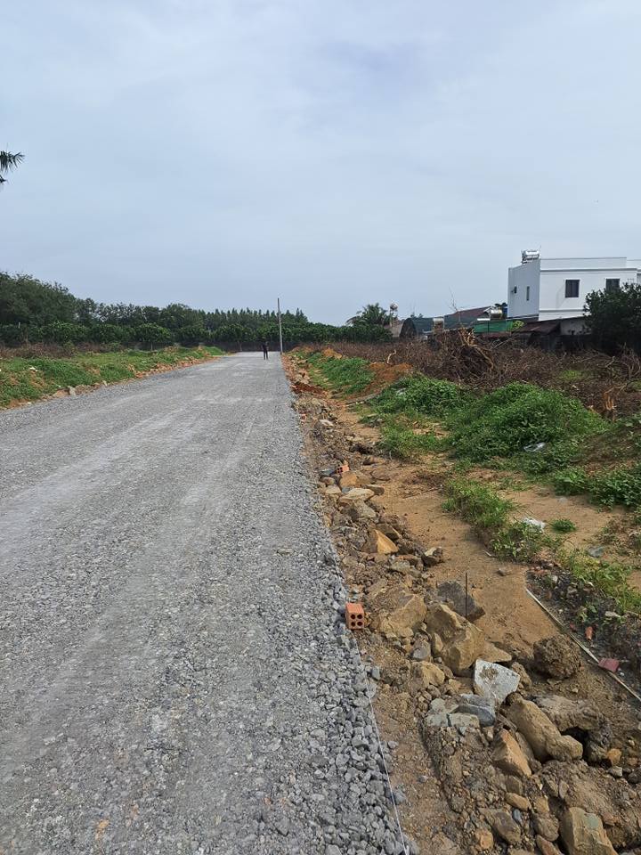 Đất nền 100m² tại phường Tân Triều, Biên Hòa - Sổ đỏ chính chủ chỉ 300 triệu!