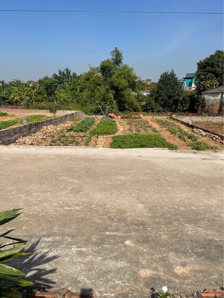 Đất Kim Anh Sóc Sơn 100m² mặt tiền 7,5m - Đầu tư sinh lời ngay!