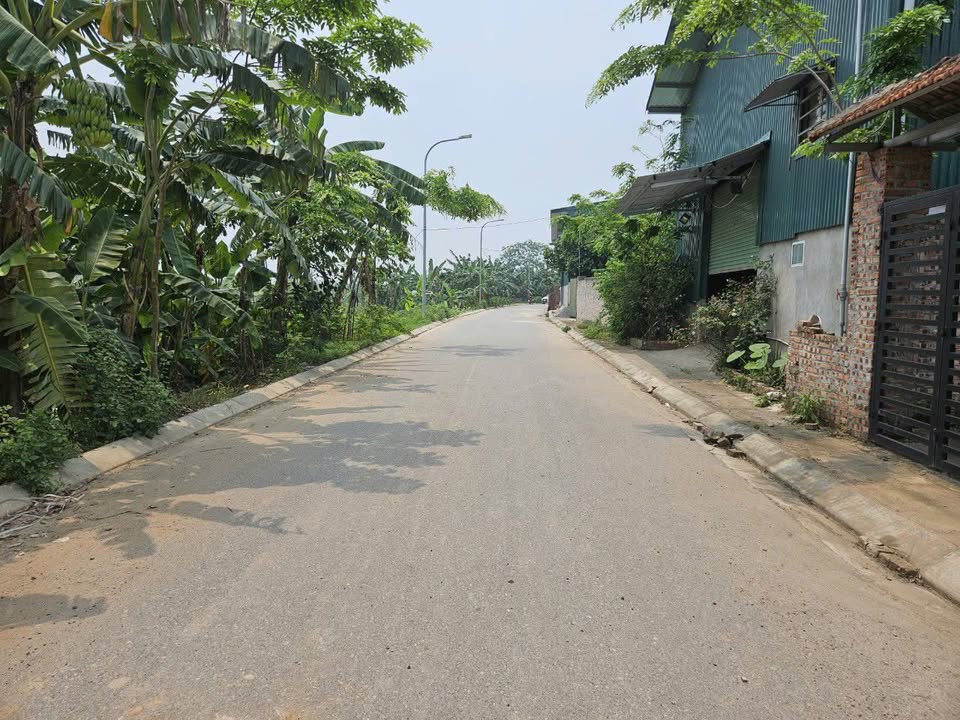 Đất nền 135m² xã Vạn Phúc, Thanh Trì - Vị trí đắc địa, giá tốt!