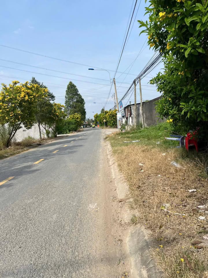 Đất thổ cư Thanh Phú Bến Lức 100m² giá 1.65 tỷ - Cơ hội đầu tư tốt