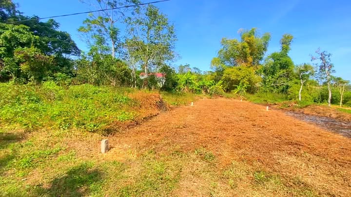 Đất nền Tân Hiệp 169m² giá 400 triệu - Đầu tư sinh lời ngay!