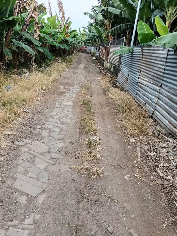 Đất nền Sông Thao Trảng Bom 8000m² giá 940 triệu - Cơ hội đầu tư tuyệt vời!