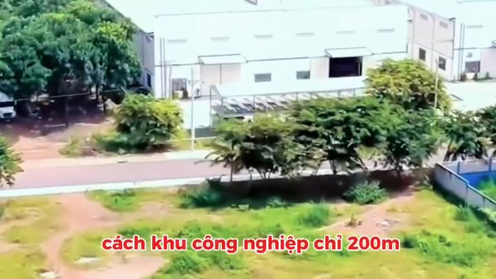 Đất nền Hướng Đạo, Tam Dương 60m² chỉ 700 triệu - Đầu tư sinh lời nhanh!