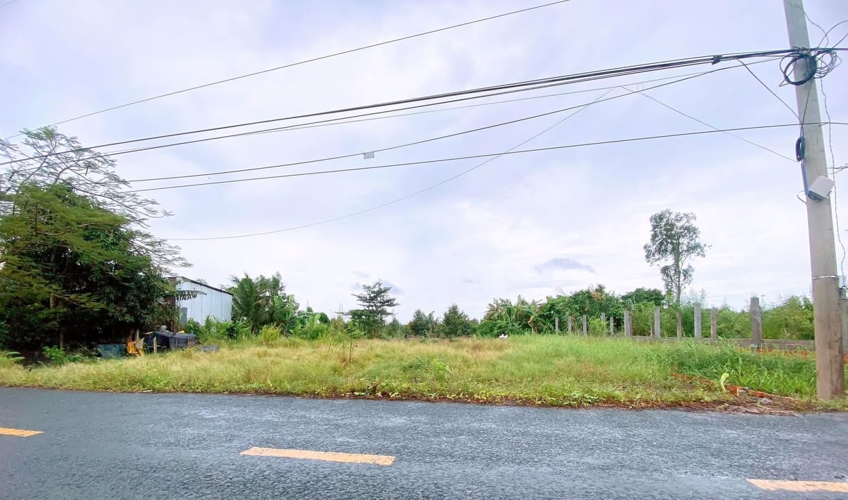 Đất nền Trường Long Phong Điền 90m² giá 600 triệu - Cơ hội đầu tư tốt!