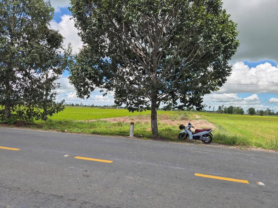 Đất mặt tiền Đường tỉnh 919, Cờ Đỏ 4808m² giá 4.088 tỷ - Tiềm năng kinh doanh lớn!