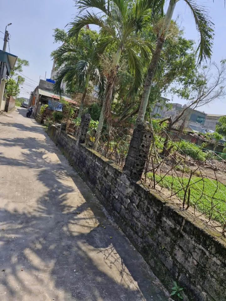 Đất nền Tây Lương Tiền Hải 158.6m² giá chỉ 9xx - Lô góc hiếm có!